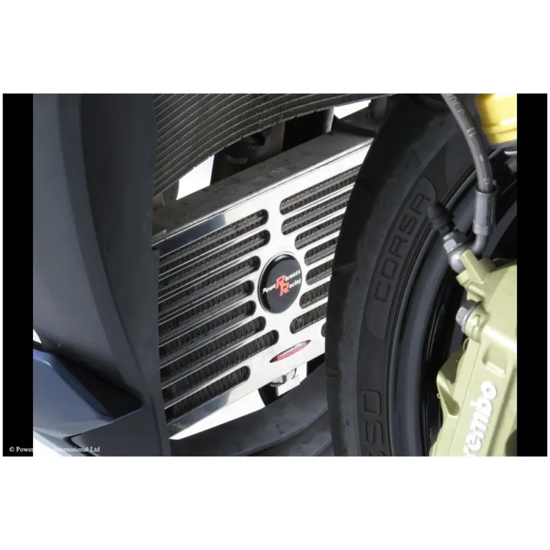 BMW S1000R 14 Kryt chladiče oleje Poslední Šance