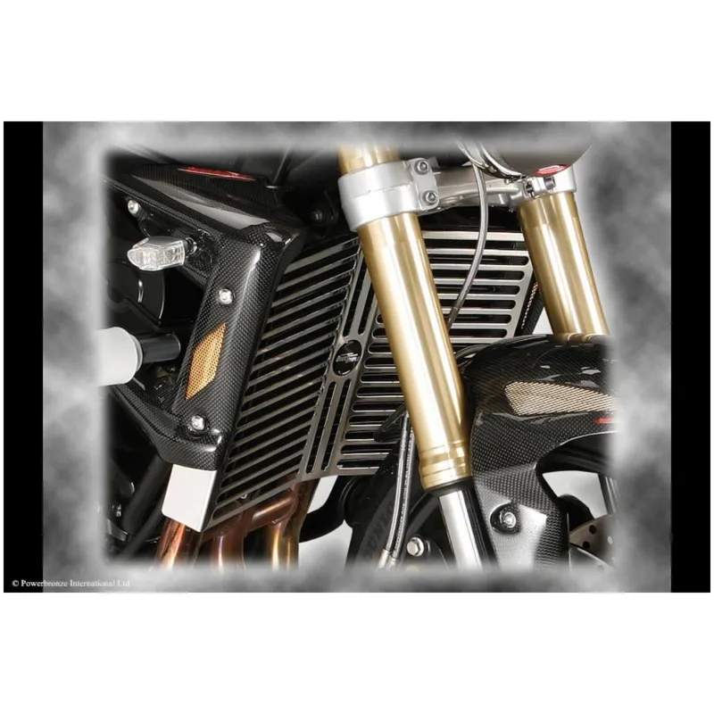 Triumph STREET TRIPLE 08-12, STREET TRIPLE R Kryt chladiče Sleva