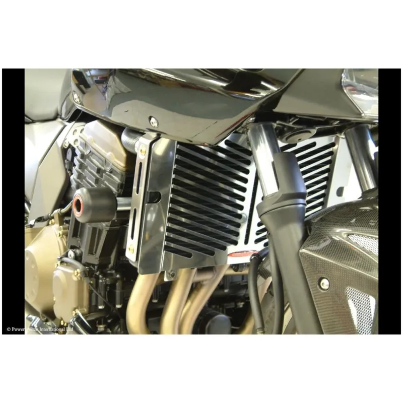 Kawasaki ZRX1100, ZRX1200R, ZRX1200S Kryt chladiče Oblíbený