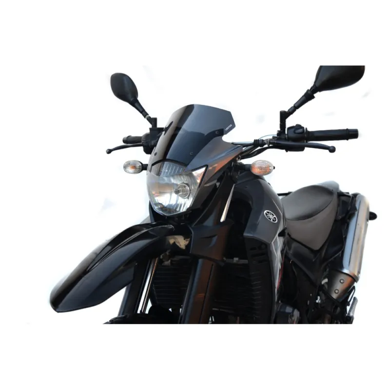 YAMAHA XT 660 R 2004-2016 Plexi standard Pouze Dnes
