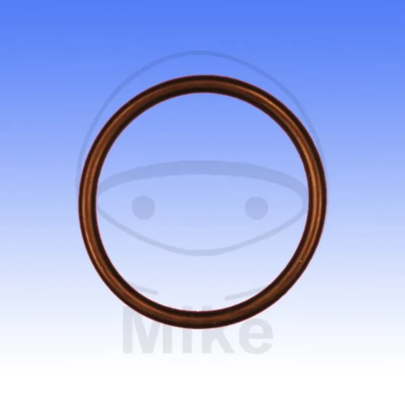 Těsnění ventilového víka ATHENA M752503150004 2.5X31.5 mm Poslední Šance