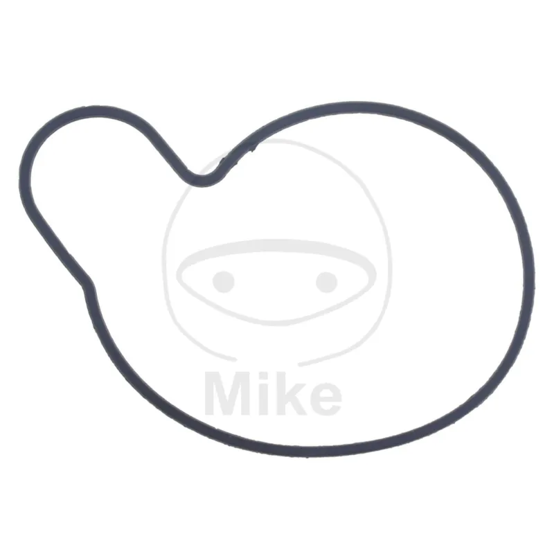 Těsnění vodní pumpy ATHENA S410510024021 Top Prodej